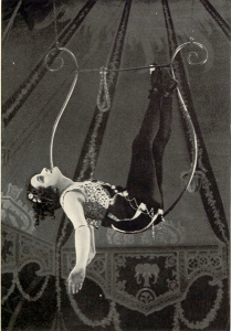 aerial hoop