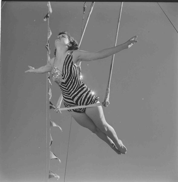 Trapeze - The Last Carnival -Circus School