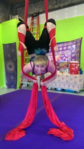 aerial silks