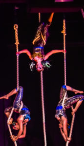 partner aerial