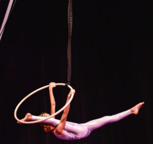 aerial hoop