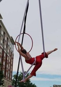 aerial hammock