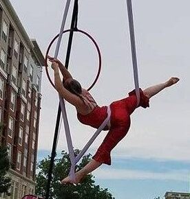 aerial hammock