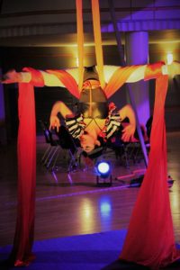 aerial silks